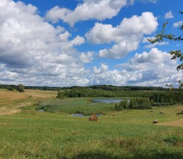 Pietrasze House | Dom Wypoczynkowy u Krysi