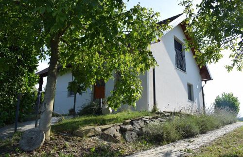 Slovenska Bistrica Apartment | Domačija Vrški