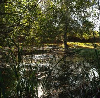 Champsac House | Domaine Abbey-Rose