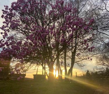 Champsac House | Domaine Abbey-Rose