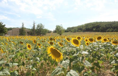 Lautrec Bed & Breakfast | Domaine de la Couderquié