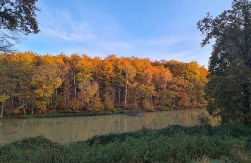 Mareuil-sur-Cher Villa | Domaine des Aulnaies - Beauval - Mareuil sur Cher