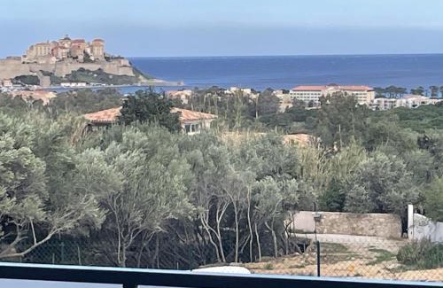 Calvi Apartment | Domaine DI AMUVRELLA