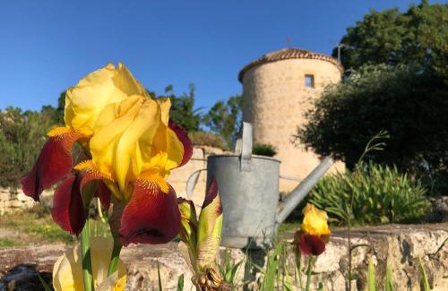 Terraube House | Domaine Léa Chanflaur - Spa - Le moulin de la jalousie