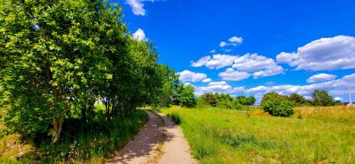 gmina Łeczyce Apartment | Domek Jozef z prywatnym duzym Jacuzzi i sauna Przystan pod niebem
