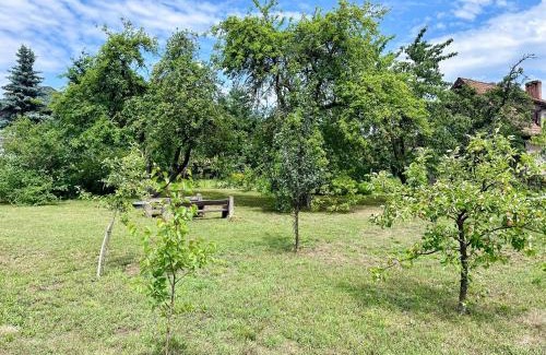 Insko House | Domek letniskowy Ińsko BIO BOX