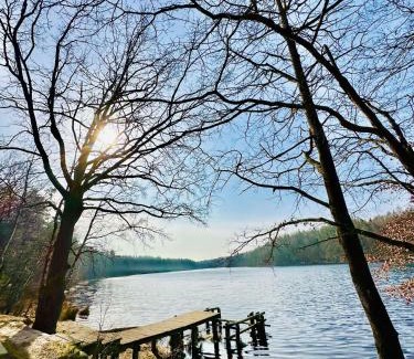 Wejherowo House | Domek letniskowy Iwonka