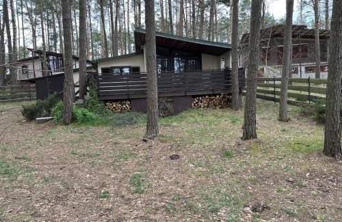 Ocypel House | Domek letniskowy "Wiewiórka"