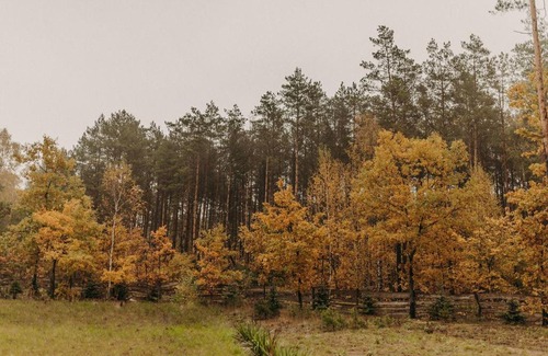 Popielzyn Zawady Apartment | Domek na skarpie