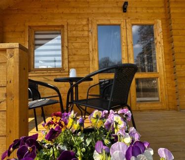 Zator House | Domek na Wiejskiej