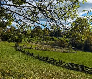 Nowy Targ House | Domek pod Modrzewiem