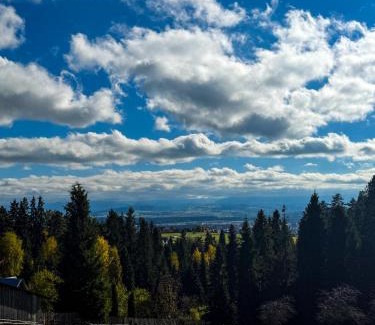 Nowy Targ House | Domek pod Modrzewiem