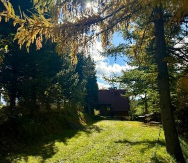 Nowy Targ House | Domek pod Modrzewiem