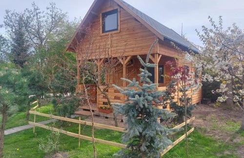 Pszczolki House | Domek pod Sumakiem