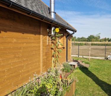 Kwidzyn Cabin | Domek rekreacyjny U Marcina