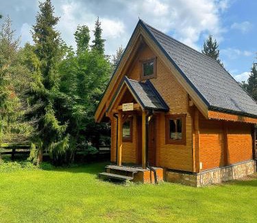 Łopuszna Ski Chalet | Domek w ciszy i zieleni w górach w Łopusznej, przyjmujemy psy bezpłatnie, ogrodzona działka