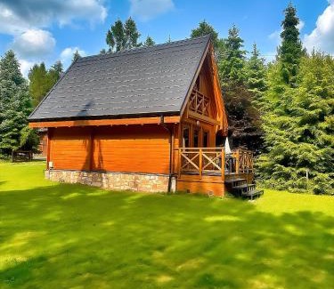 Łopuszna Ski Chalet | Domek w ciszy i zieleni w górach w Łopusznej, przyjmujemy psy bezpłatnie, ogrodzona działka