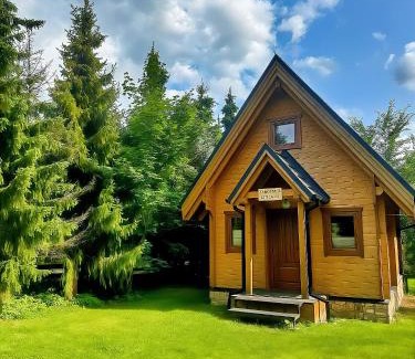 Łopuszna Ski Chalet | Domek w ciszy i zieleni w górach w Łopusznej, przyjmujemy psy bezpłatnie, ogrodzona działka
