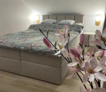 Bystrzyca Kłodzka House | Domek w górach - Sudety, Kotlina Kłodzka