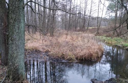 gmina Sidra House | Domek w Zakątku Andrzeje Śniczany 18