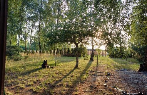 gmina Wodzierady House | Domek wakacyjny