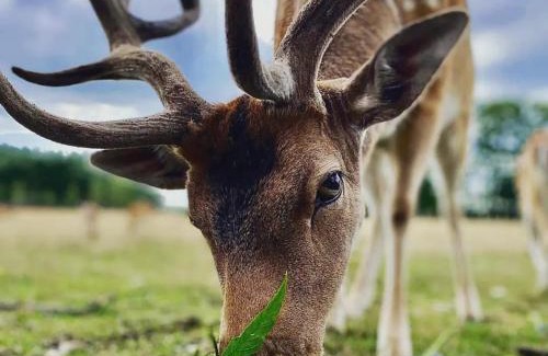 gmina Bobrowniki House | Domek za miastem - agroturystyka Bobrowniki