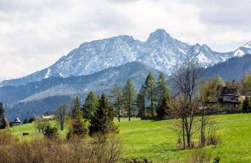 Koscielisko Ski Chalet | Domki Fox House z balią elektryczną na wyłączność