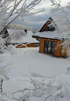 Krzyzowka Ski Chalet | Domki Krynica