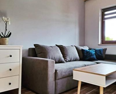 Srednia Wies Apartment | Domki w Bieszczadach - Apartamenty