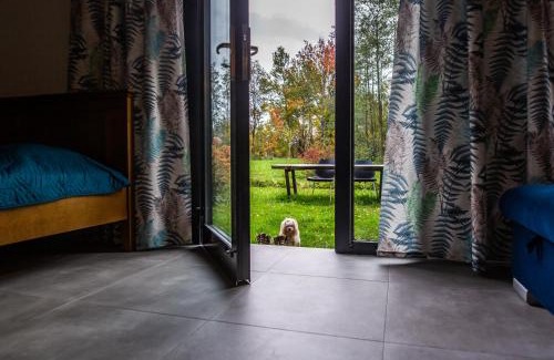 Miedzylesie House | Domki w górach