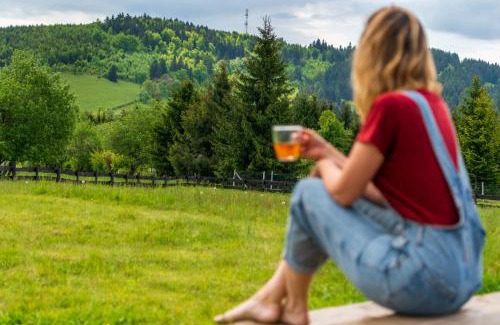 Sierpnica House | Domki z widokiem na Sowę