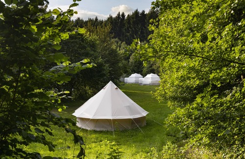 Losheim am See RV Rental | DOMO CAMP LOSHEIM AM SEE - MYMOLO Lodge for 2P near the Lake