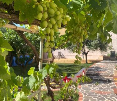 Loculi House | Domo Fadda Loculi