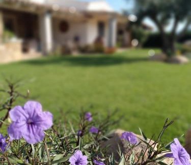 Castiadas House | Domu Speciosa