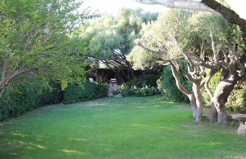 Abbiadori House | DOMUS OLIVARUM-Costa Smeralda NEW! 7 guest, 3 room, 2 bathroom, 2 PK, Wifi A/C