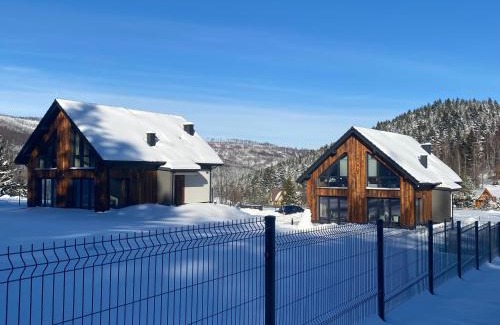 Zawoja Villa | Domy Pod Babią