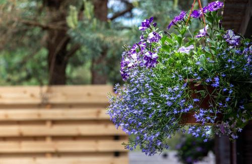 Druskininkai Apartment | Don Vyto