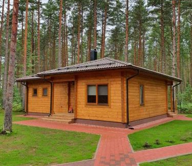 Alutaguse Parish Villa | Donar cottage