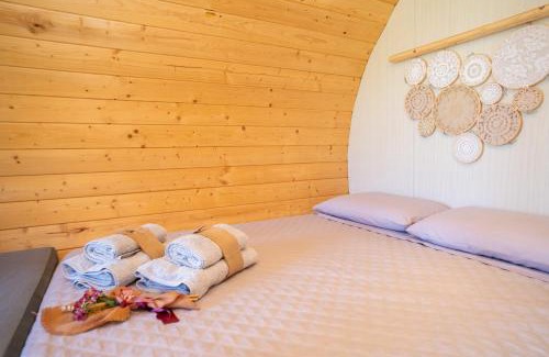 Marzi Bed & Breakfast | Dormire in una botte - Antiche Vigne Pironti