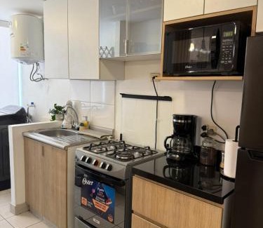 Ica Apartment | dos apartamentos cerca de la laguna de Huacachina