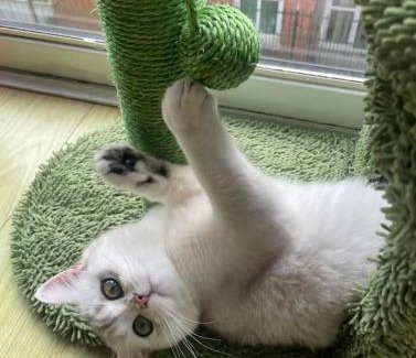 City Centre Dublin House | Double Room inCityCenter-15min walk to TempleBar