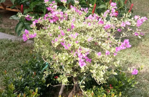 Ko Kood House | Double Room view 2,3