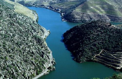 Sao Joao da Pesqueira Boat Rental | Douro Yacht Charter & Bungalows