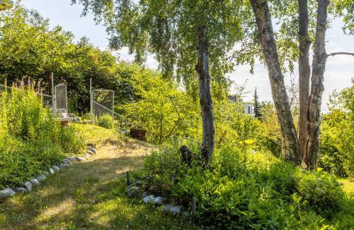 Downtown Anchorage House | Downtown Oceanview Luxury Home