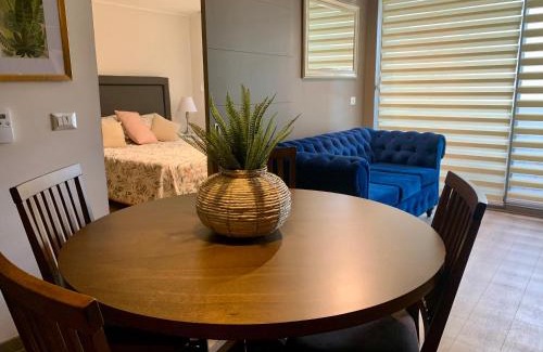 La Cisterna Apartment | Dpto. Nuevo y Económico a 20’ del centro