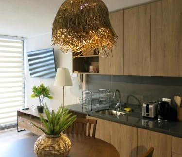 La Cisterna Apartment | Dpto. Nuevo y Económico a 20’ del centro