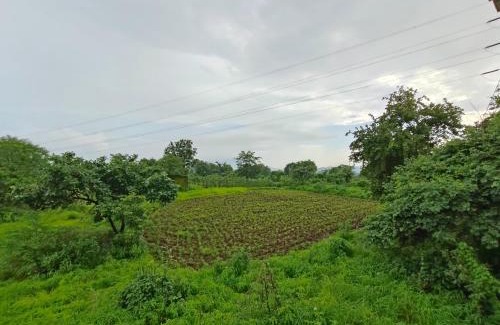 Kalyan House | DR BHOIR FARM & RESORT