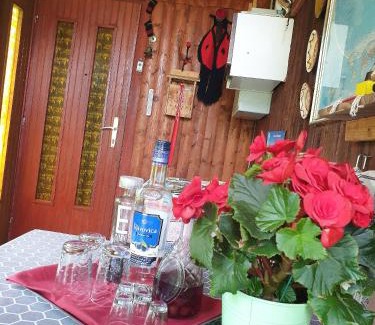 Vrelo Korenicko House | Draga Koncar Guest House