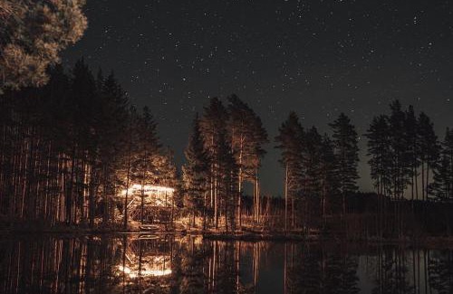 Pedvale House | Dragon house in the tree! Jacuzzi, Sauna ,Cinema,Heated