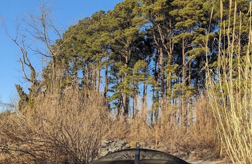 Reedville Cottage | "Dragonfly" Waterfront Cottage on Chesapeake Bay